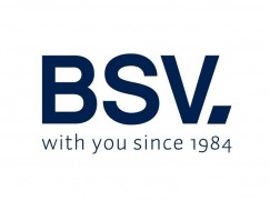 Logo BSV Electronic